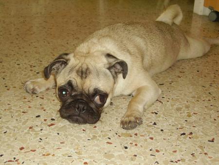 Alala la fatigue !!
