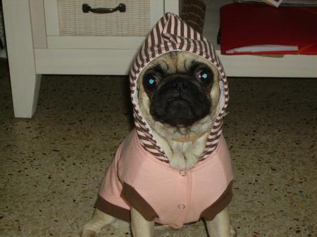 Appy et son costume !